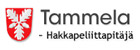 Tammela (Tammelan kunta)